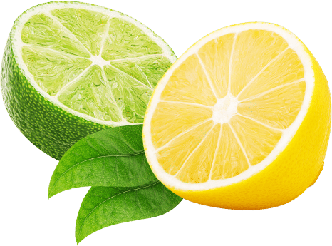 Lemon+Lime outlined