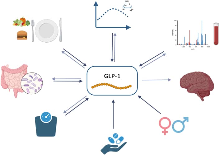 Picture of Can you increase GLP-1 naturally? A Guide for Appetite, Blood Sugars ...